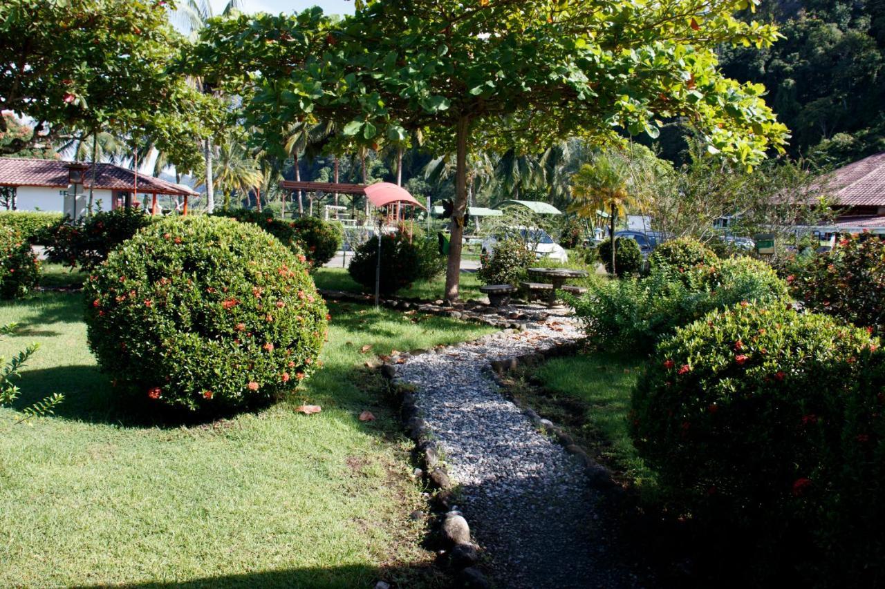 Hotel Samoa Del Sur Golfito Extérieur photo